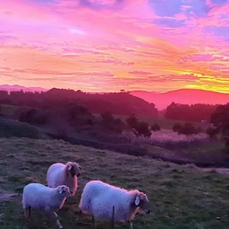 Vistamar 3* Isla Plana