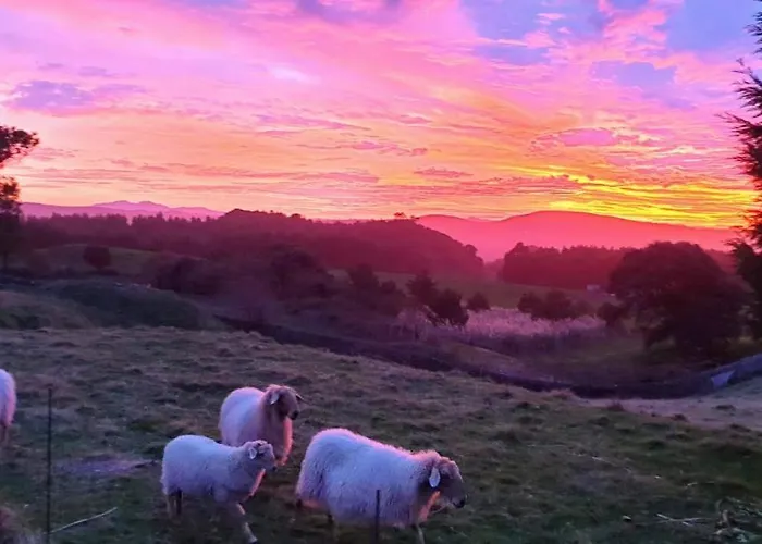 Vistamar 3* Isla Plana